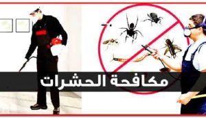 مكافحة الحشرات بالكويت