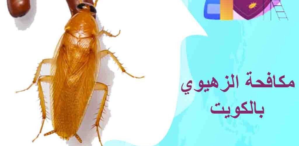 شركة مكافحة الزهيوي بالكويت