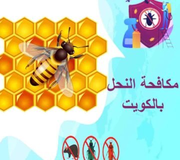 شركة مكافحة النحل بالكويت