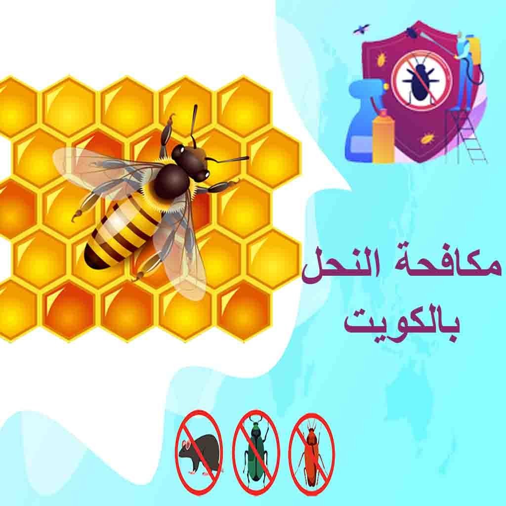 شركة مكافحة النحل بالكويت