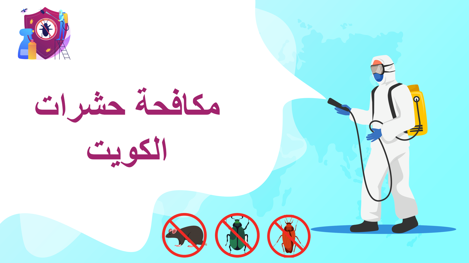 مكافحة حشرات الكويت
