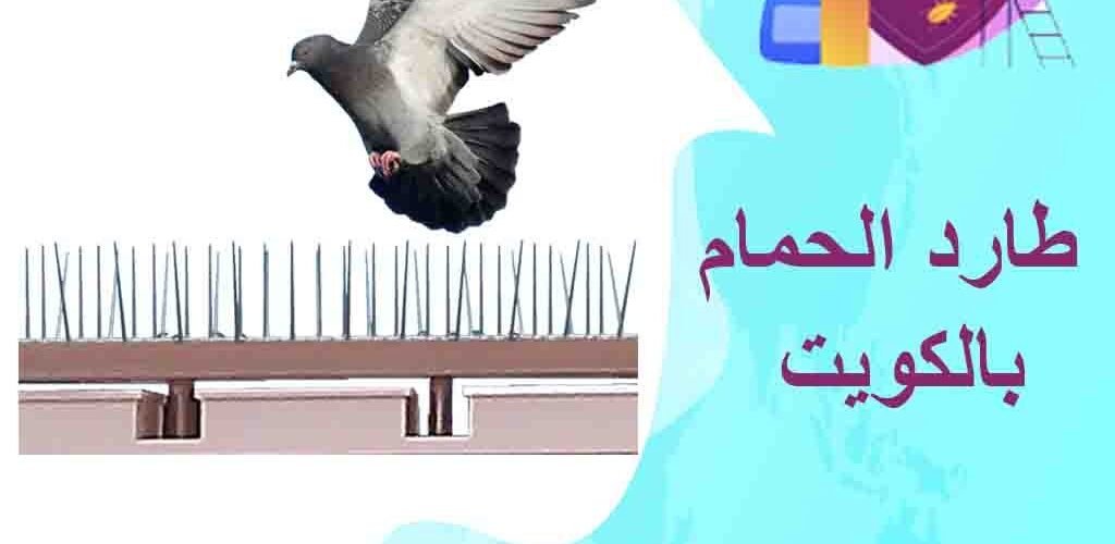 شركة طارد الحمام بالكويت