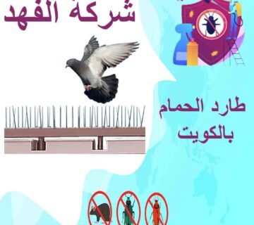 شركة طارد الحمام بالكويت