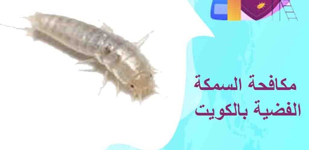 مكافحة السمكة الفضية بالكويت