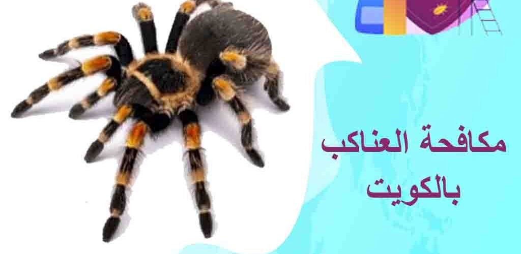 مكافحة العناكب بالكويت