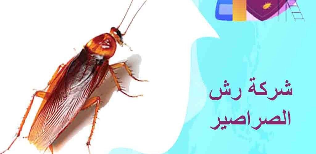 شركة رش الصراصير