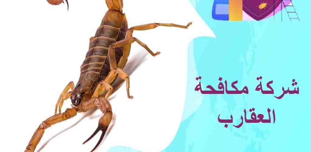 شركة مكافحة العقارب بالكويت