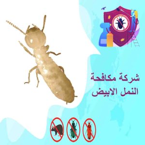 مكافحة النمل الابيض