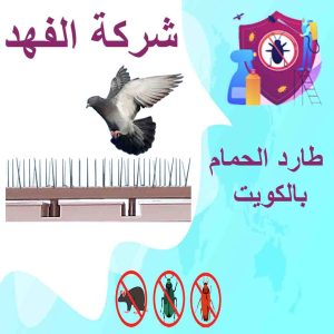 شركة تركيب طارد الحمام بالكويت