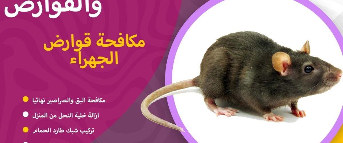 شركة مكافحة قوارض الجهراء