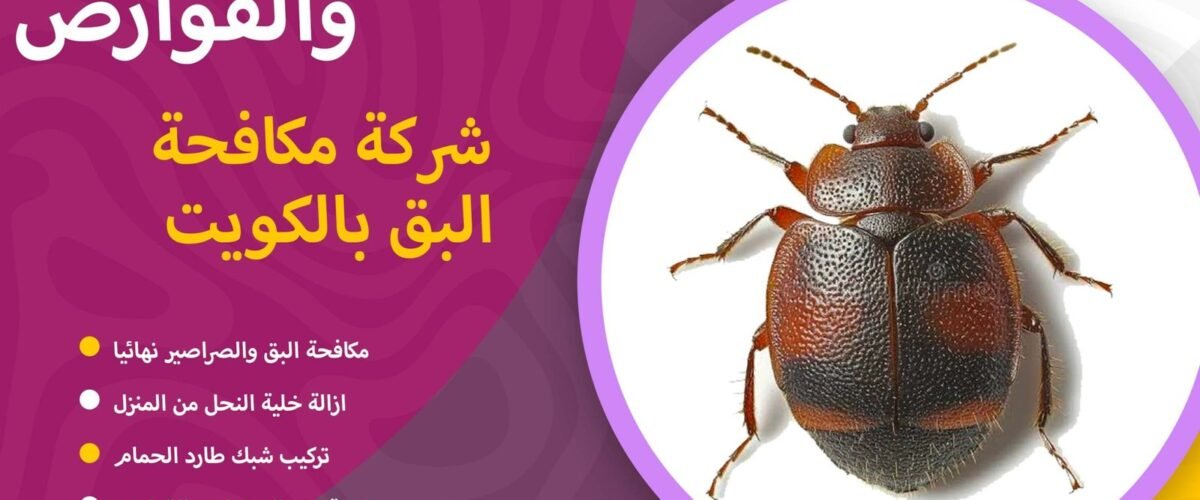 شركة مكافحة البق