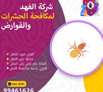 شركة مكافحة النمل بالكويت