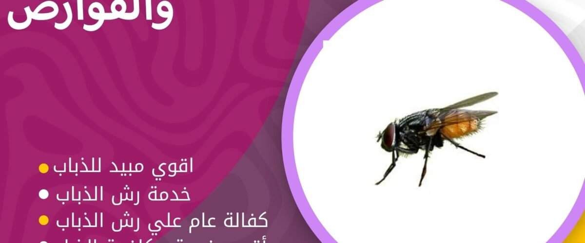 شركة مكافحة الذباب بالكويت