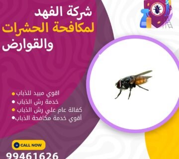 شركة مكافحة الذباب بالكويت