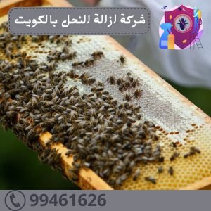 شركة ازالة النحل بالكويتِ