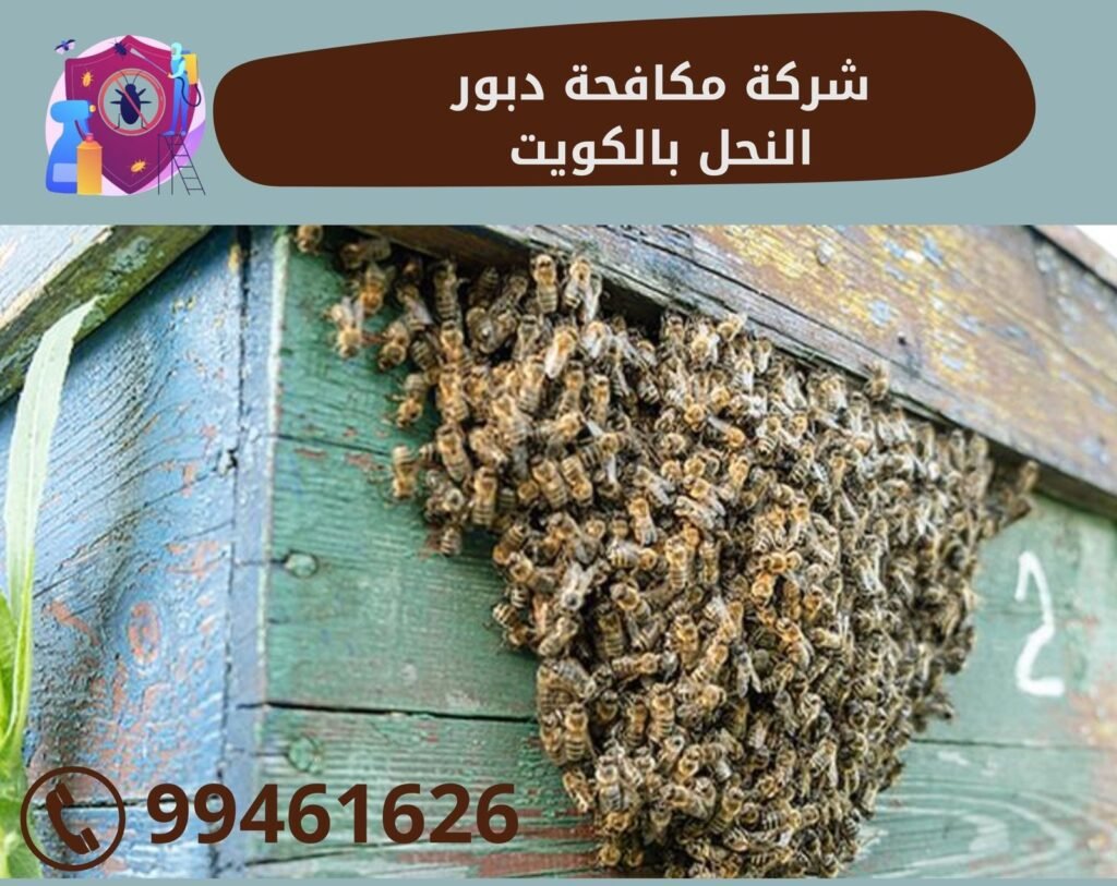 في مكافحة النحل