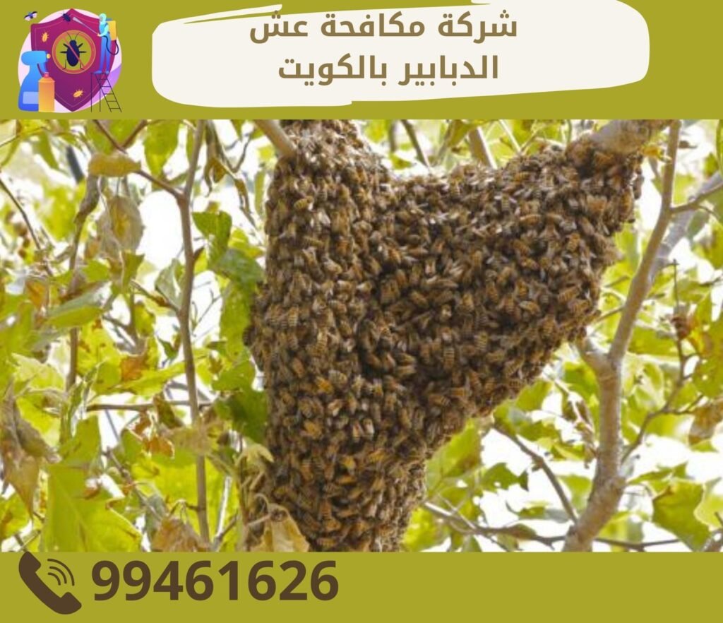 في مكافحة النحل