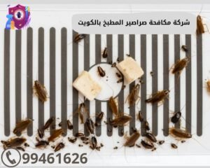 شركة مكافحة صراصير المطبخ بالكويت