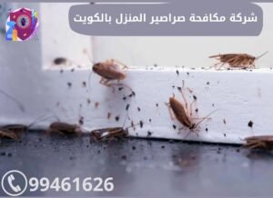 شركة مكافحة صراصير المنزل بالكويت