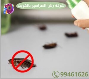 شركة رش الصراصير بالكويت