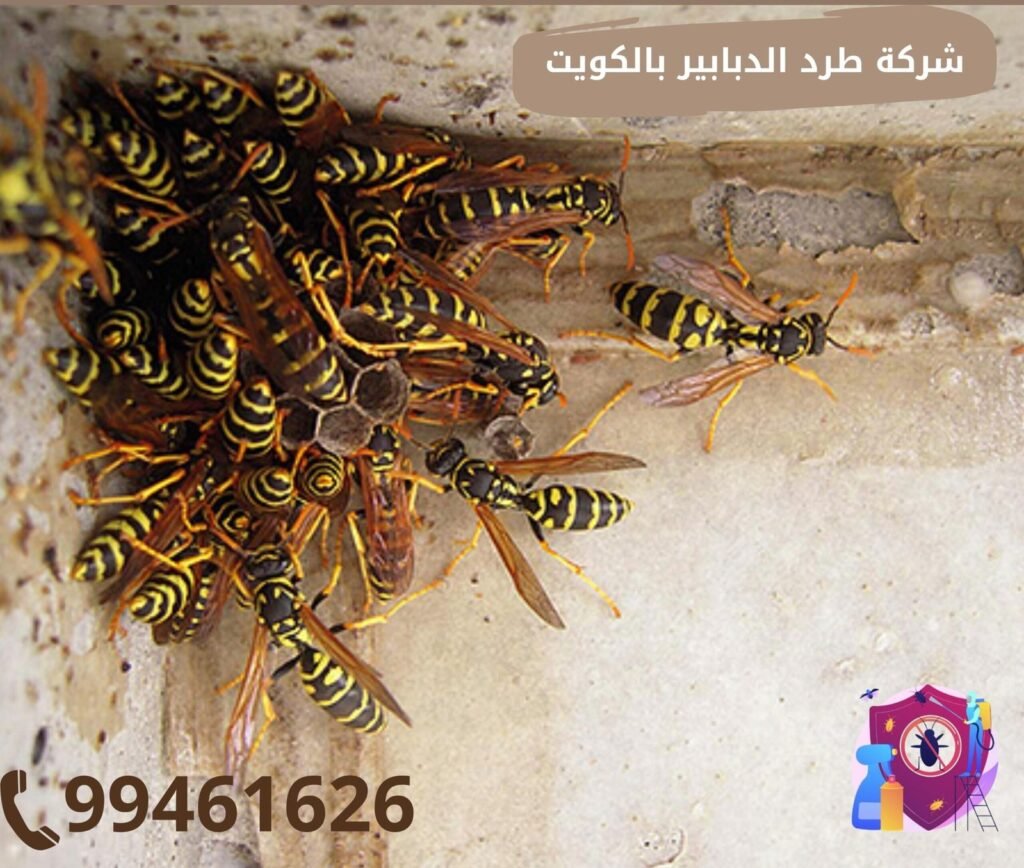 في مكافحة النحل