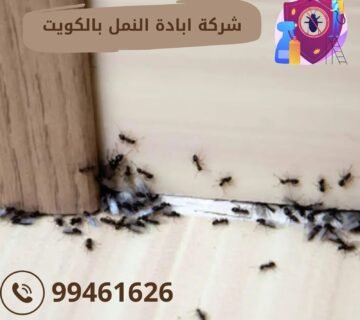 شركة ابادة النمل بالكويت