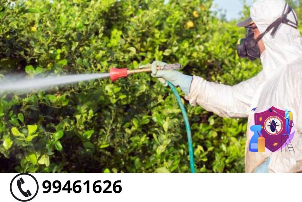 مكافحة الذباب