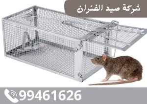 شركة صيد الفئران بالكويت