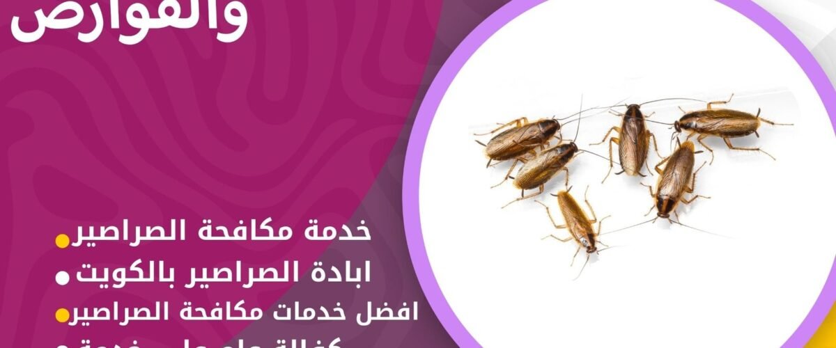 شركة مكافحة الصراصير بالكويت