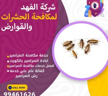 شركة مكافحة الصراصير بالكويت