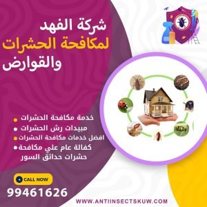 شركة مكافحة حشرات حدائق السور