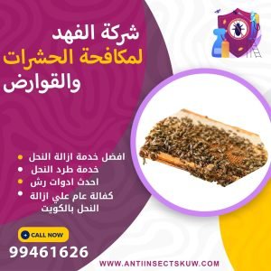 شركة ازالة النحل بالكويت.