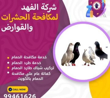 شركة مكافحة الحمام بالكويت