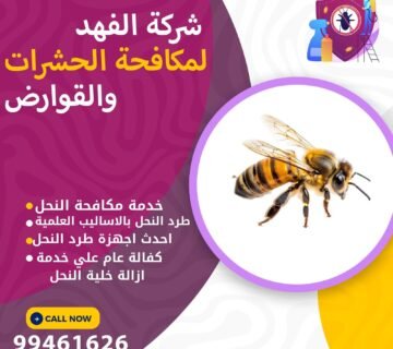 شركة مكافحة النحل بالكويت