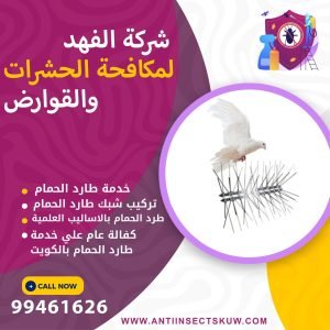 شركة طارد الحمام بالكويت