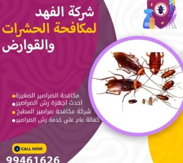 شركة مكافحة الصراصير الصغيرة بالكويت