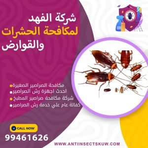 شركة مكافحة الصراصير الصغيرة بالكويت