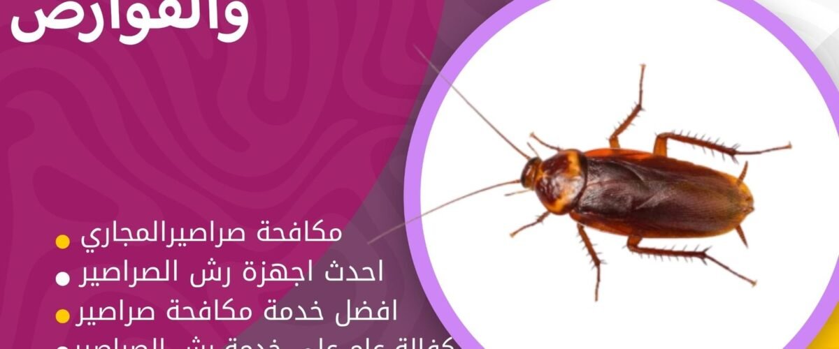 القضاء علي صراصير المجاري