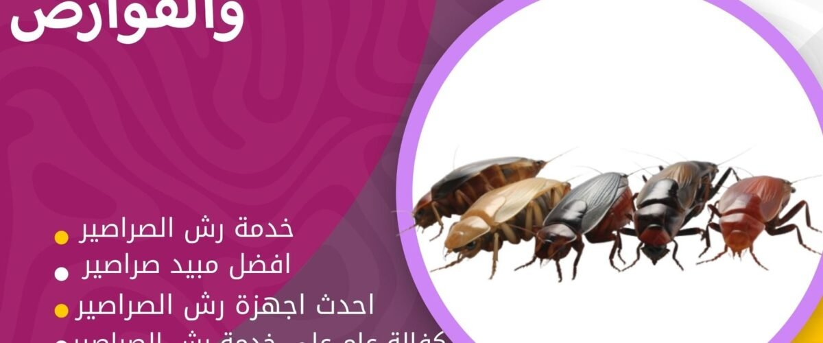 شركة رش الصراصير بالكويت