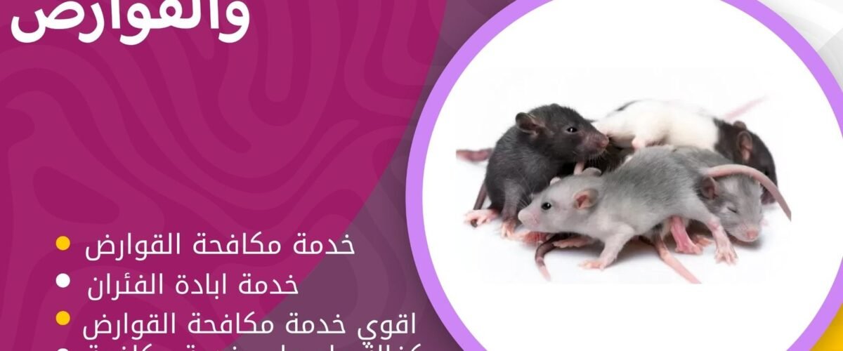 شركة مكافحة القوارض بالكويت