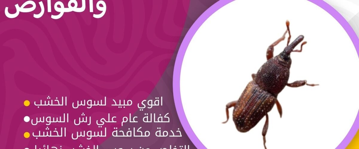 شركة مكافحة سوس الخشب بالكويت