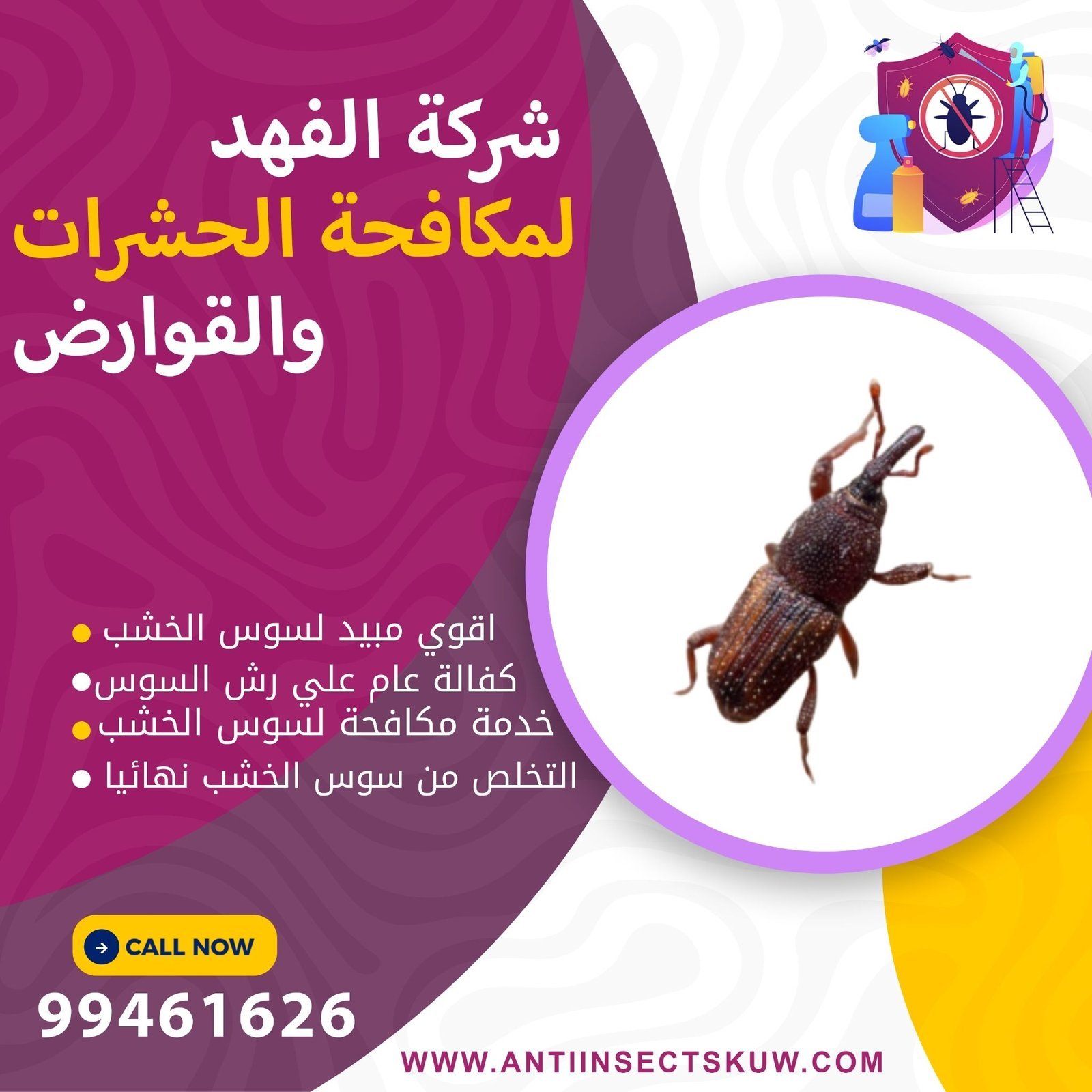 شركة مكافحة سوس الخشب بالكويت