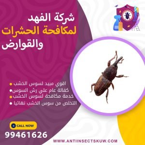 شركة مكافحة سوس الخشب بالكويت
