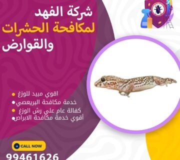 شركة مكافحة البريعصي بالكويت