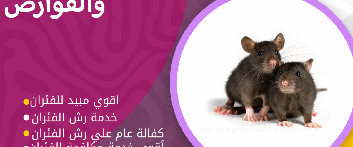 شركة مكافحة الفئران بالكويت