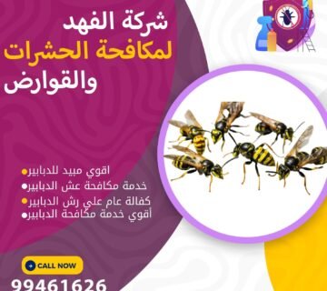 شركة مكافحة الدبابير بالكويت