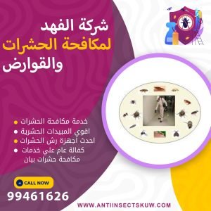 شركة مكافحة حشرات بيان
