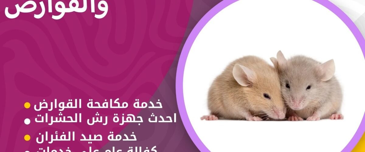 شركة مكافحة قوارض مبارك الكبير
