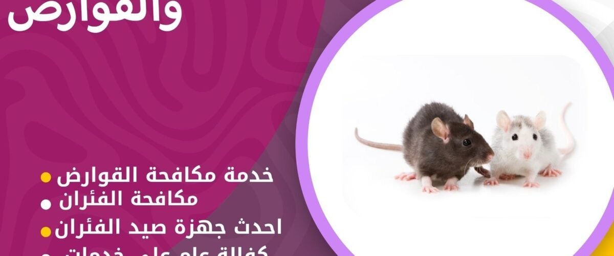 شركة مكافحة قوارض العيون