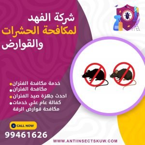 شركة مكافحة قوارض الرقة